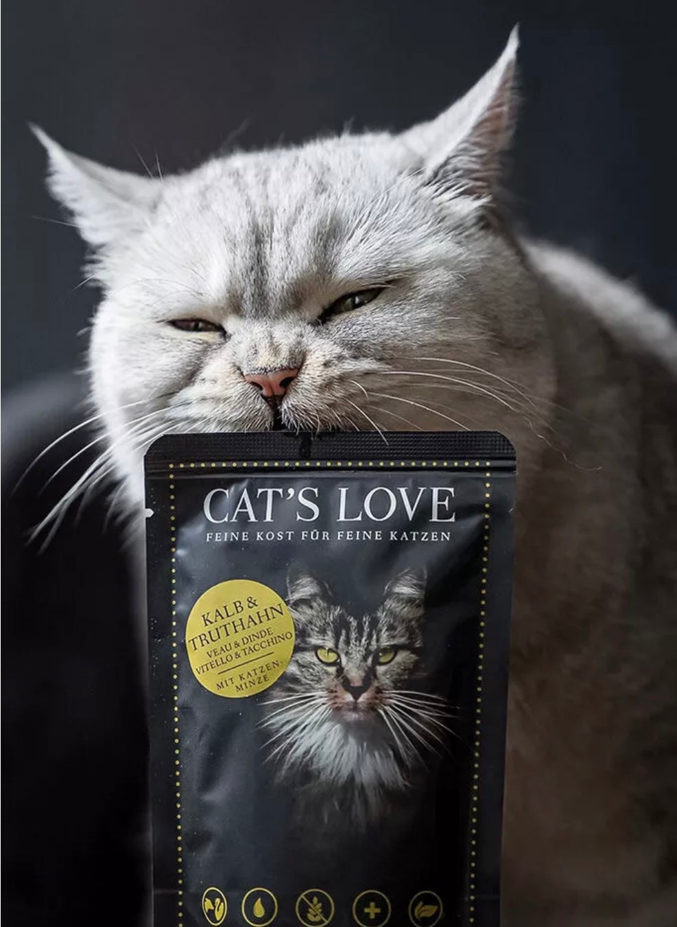 Cat's Love sobres Pavo y Ternera
