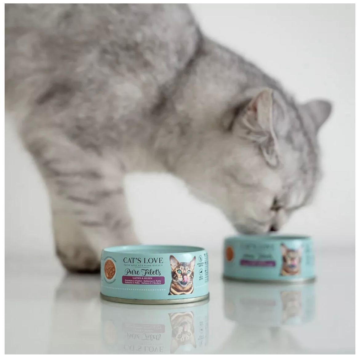 Cat's Love Pure Filets - Filetitos naturales para gato (100gr) - Salmón y Pollo