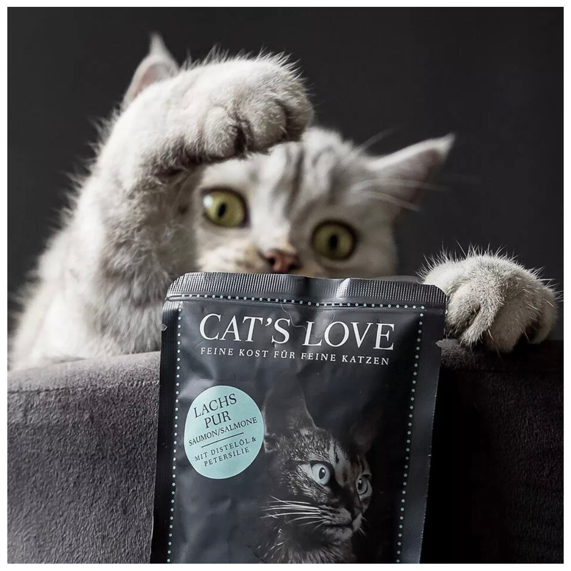 Cat's Love Sobres de Salmón (85gr.)