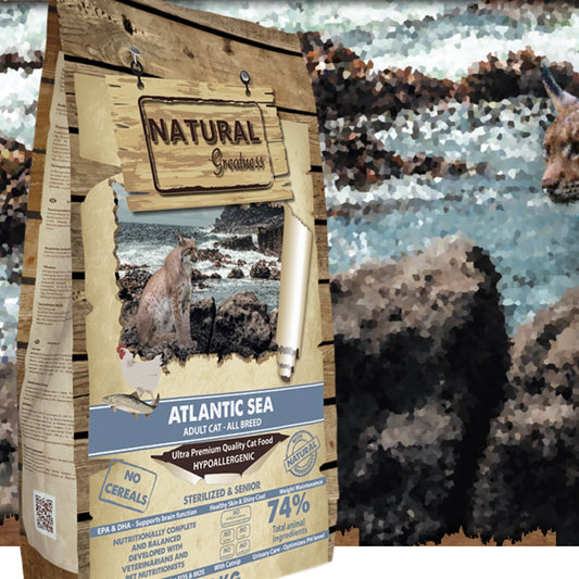 Natural Greatness - Atlantic Sea