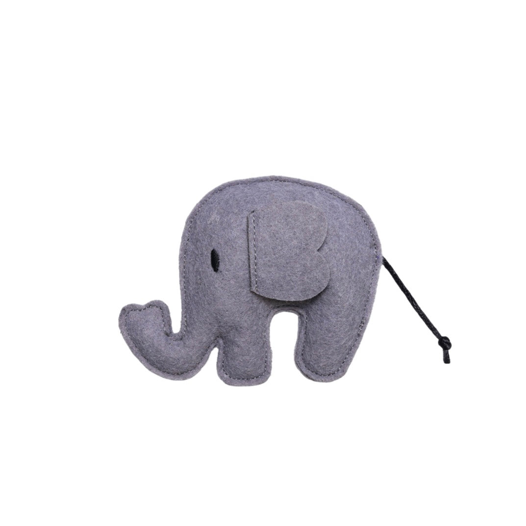 🐾 Colección Jungle