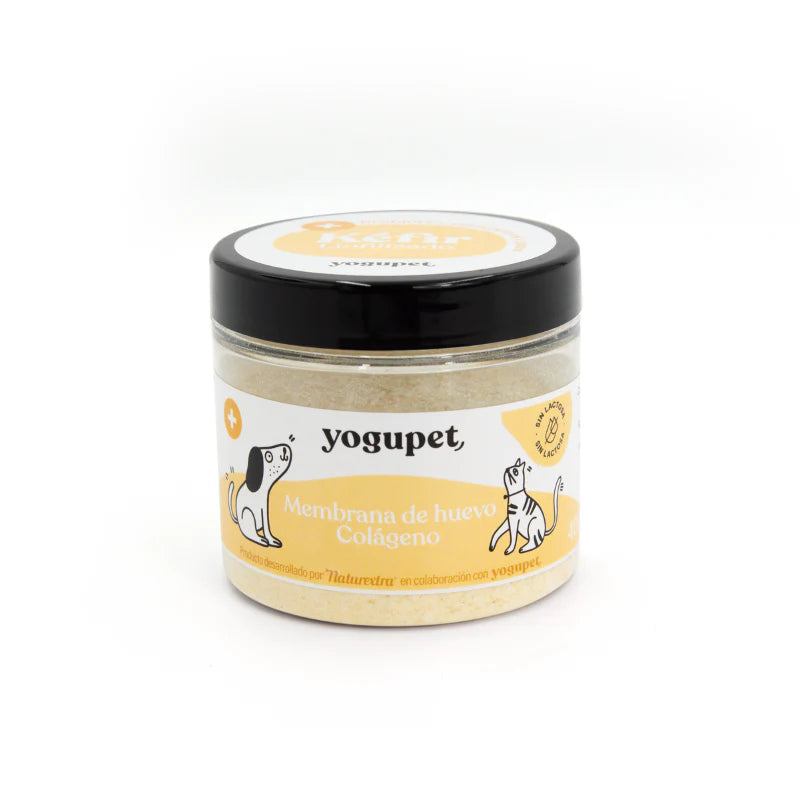 Kéfir Liofilizado Articular con Colágeno y Membrana de Huevo – Salud Articular para Perros