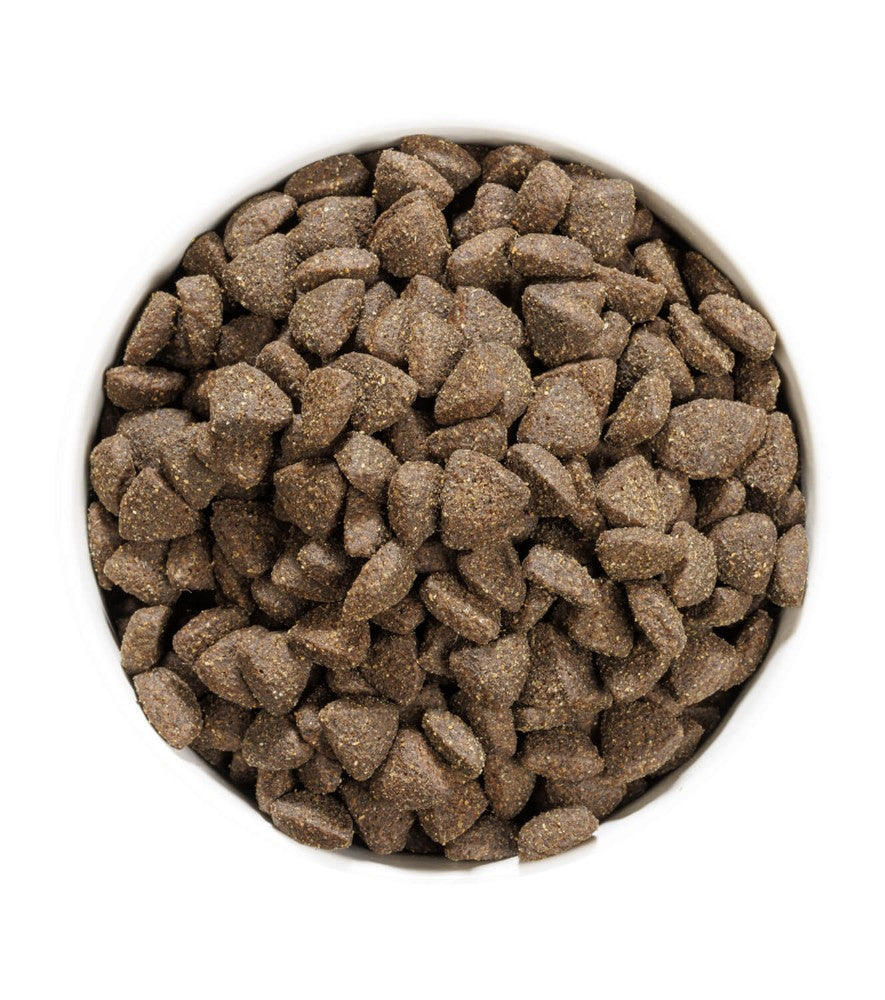 Ownat Prime Grain Free - Adult Lamb