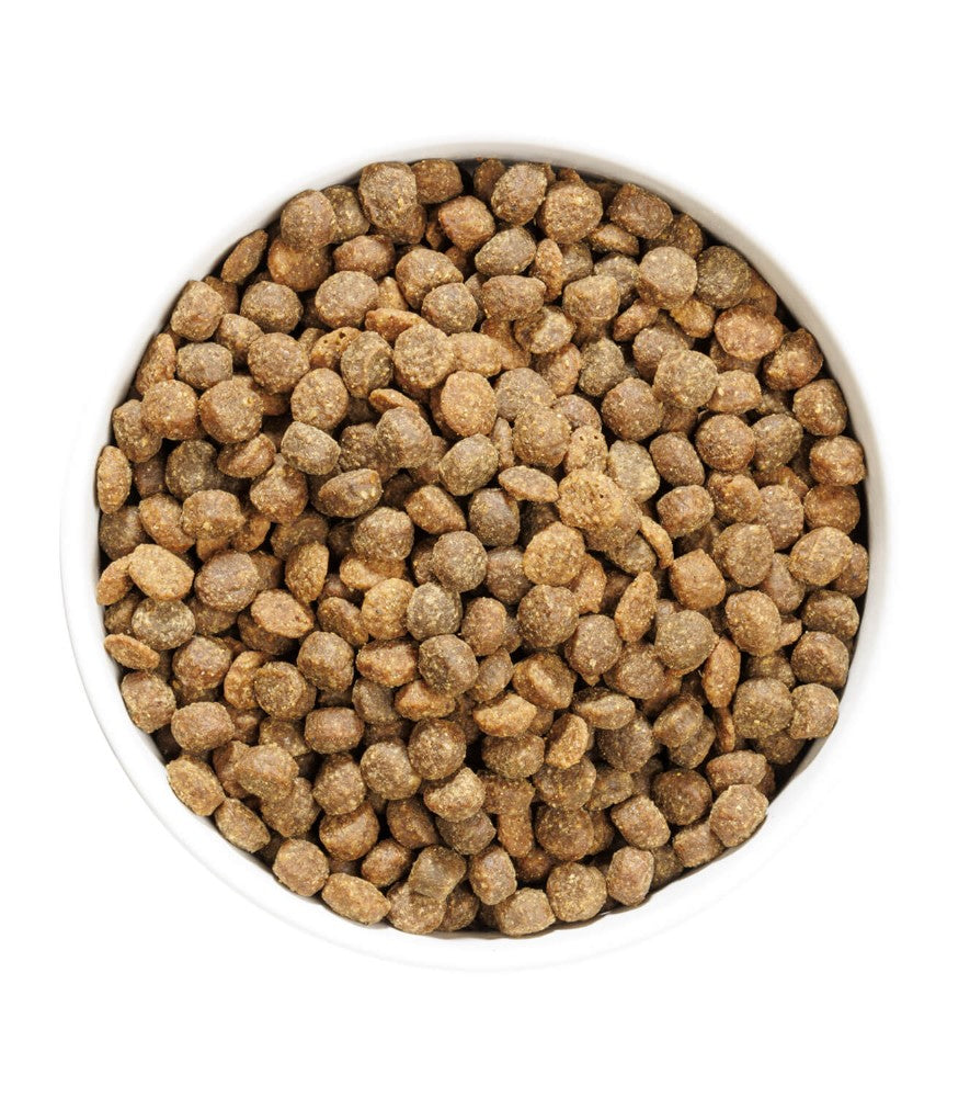 Ownat Author - Junior Fresh Chicken (Low Grain)