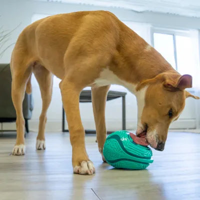 KONG Licks | Dispositivo de lamido y diversión
