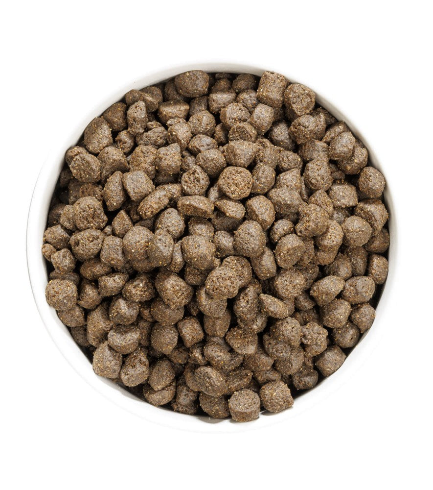 Ownat Prime Grain Free - Adult Oily Fish