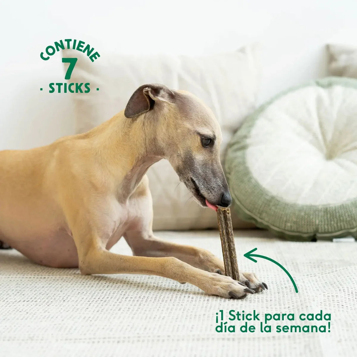 Dental Sticks Wild Balance | Snacks dentales naturales para perros