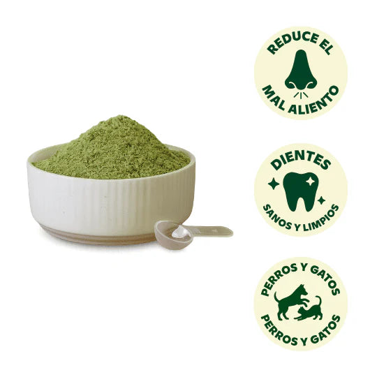 Fuera Placa Wild Balance | Suplemento natural para el sarro y el mal aliento