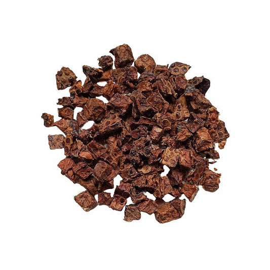 🐴 Pulmón de Caballo