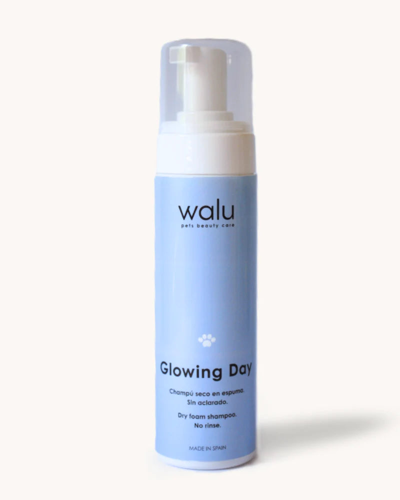 Glowing Day - Champú seco en espuma