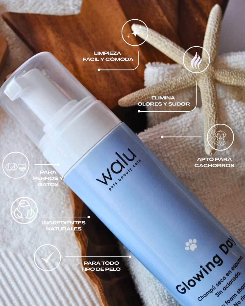 Glowing Day - Champú seco en espuma