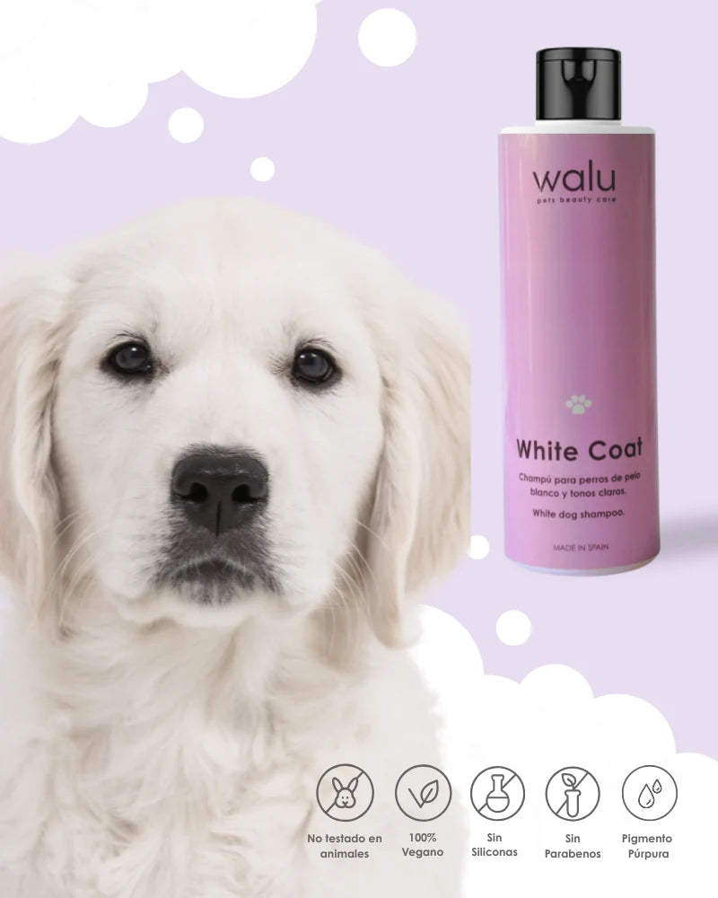 White Coat - Champú para perros de pelo blanco