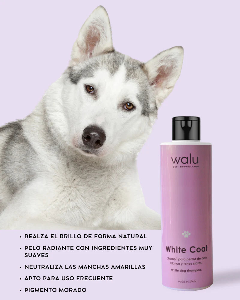 White Coat - Champú para perros de pelo blanco